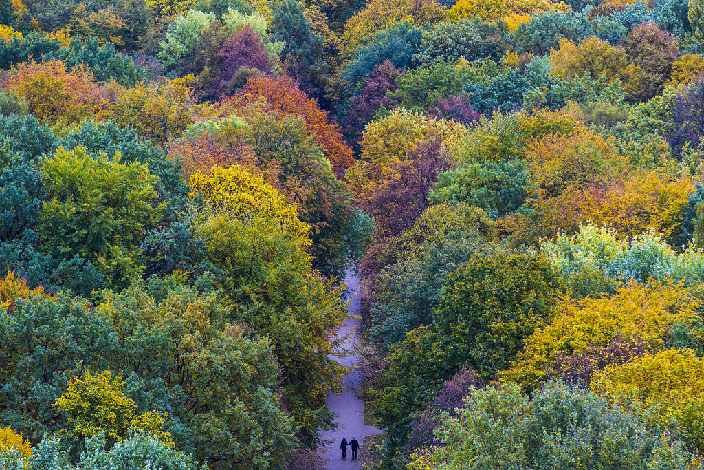 berlin-im-herbst.jpg